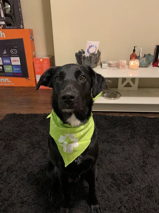 Banfield Pet Hospital 12