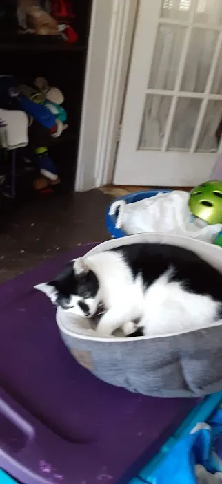 Banfield Pet Hospital 12