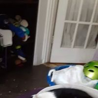 Banfield Pet Hospital ico