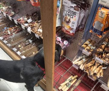 Animal Krackers Pet Center