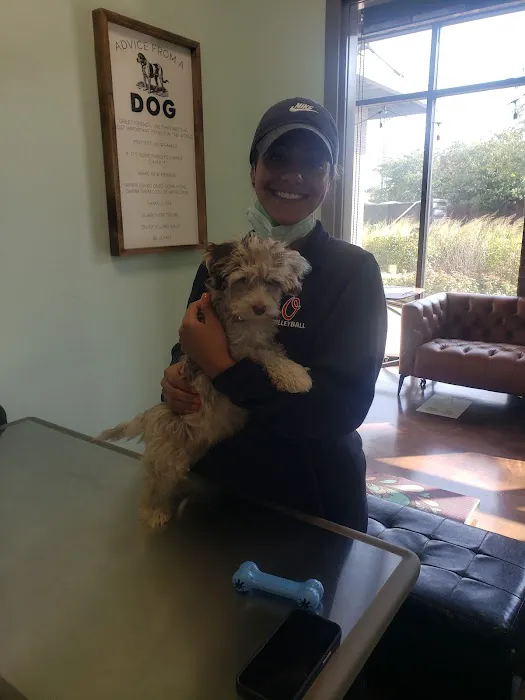 Little Urban Vet Clinic 12