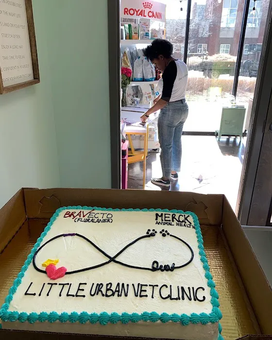 Little Urban Vet Clinic 12