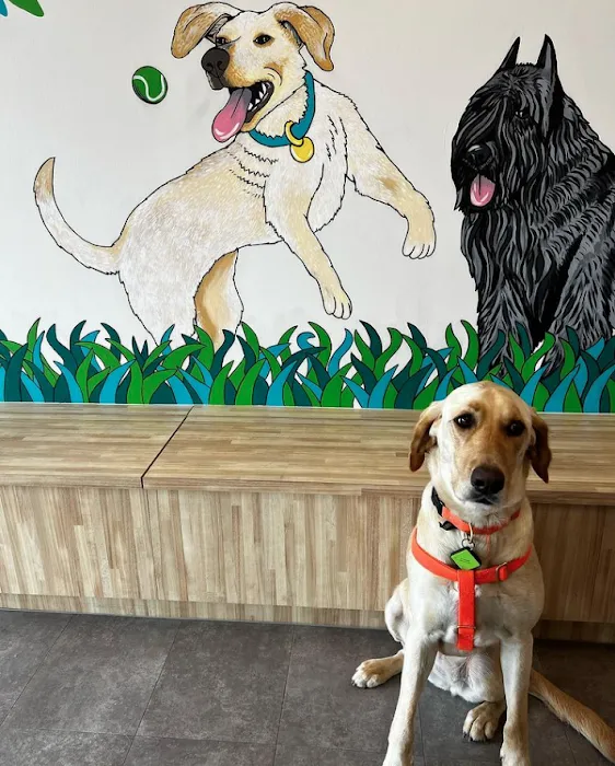 Berry Hill Animal Hospital 12