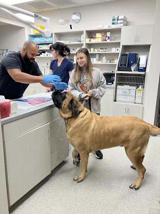 Berry Hill Animal Hospital 12