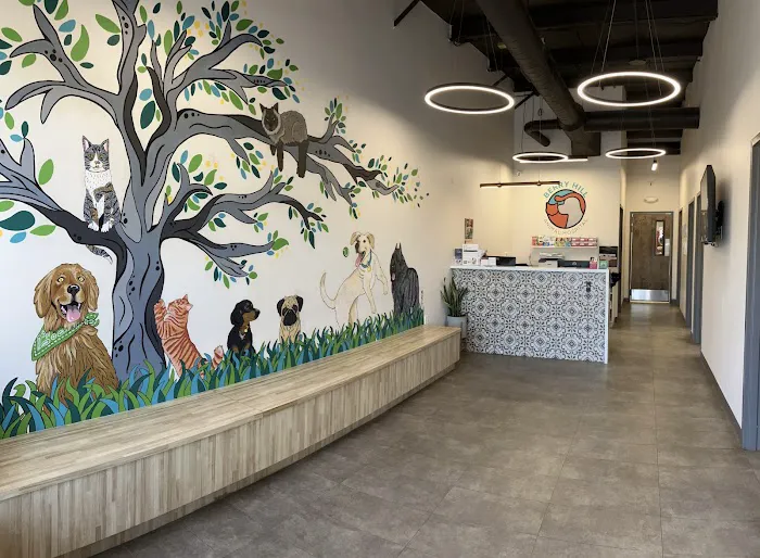 Berry Hill Animal Hospital 12