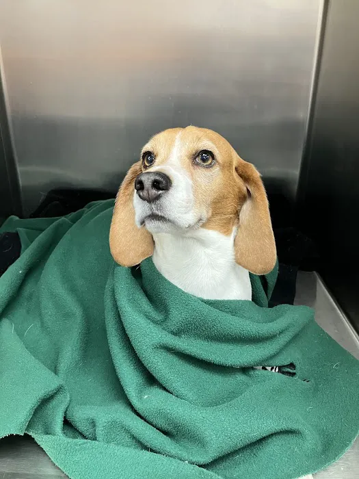 Berry Hill Animal Hospital 12