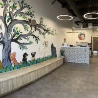Berry Hill Animal Hospital ico