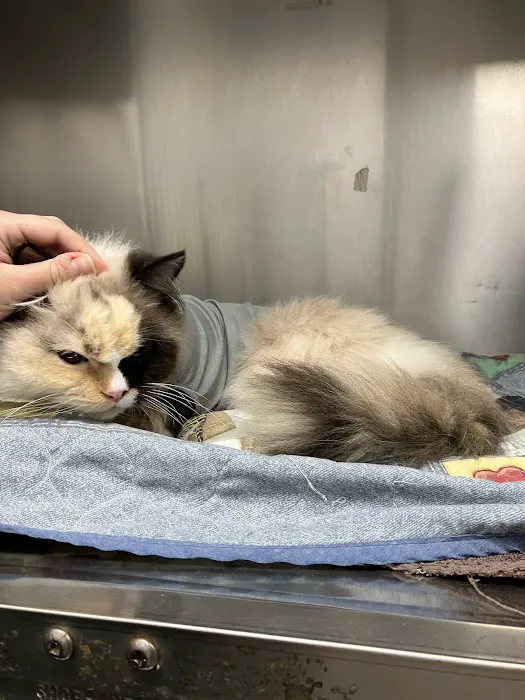 Berry Hill Animal Hospital 12