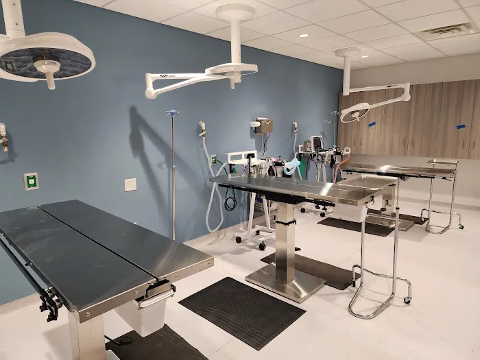 Thrive Pet Healthcare - Wedgewood 12