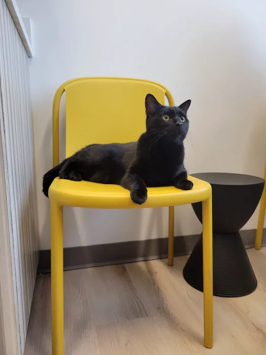 Thrive Pet Healthcare - Wedgewood 12