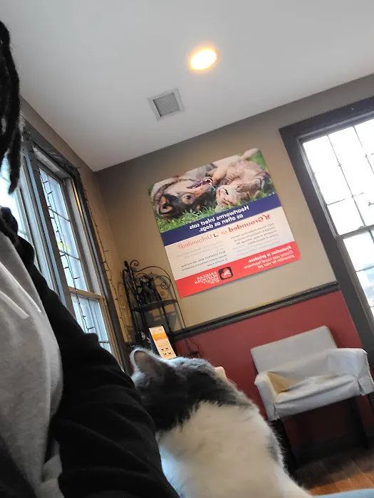 Nashville Cat Clinic 12