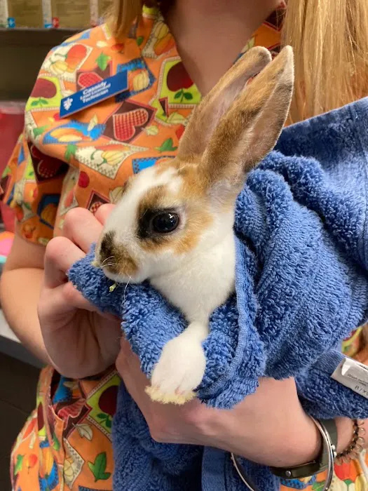 Priest Lake Veterinary Hospital - Nashville Veterinarian 12