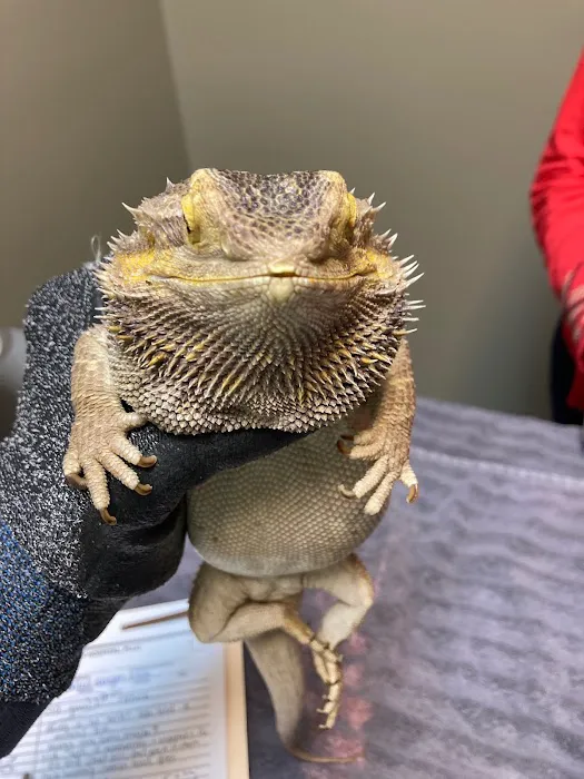 Priest Lake Veterinary Hospital - Nashville Veterinarian 12