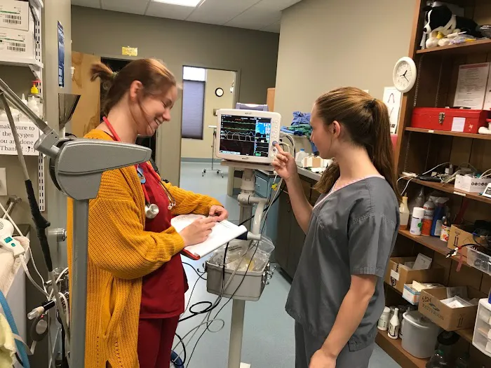 Priest Lake Veterinary Hospital - Nashville Veterinarian 12
