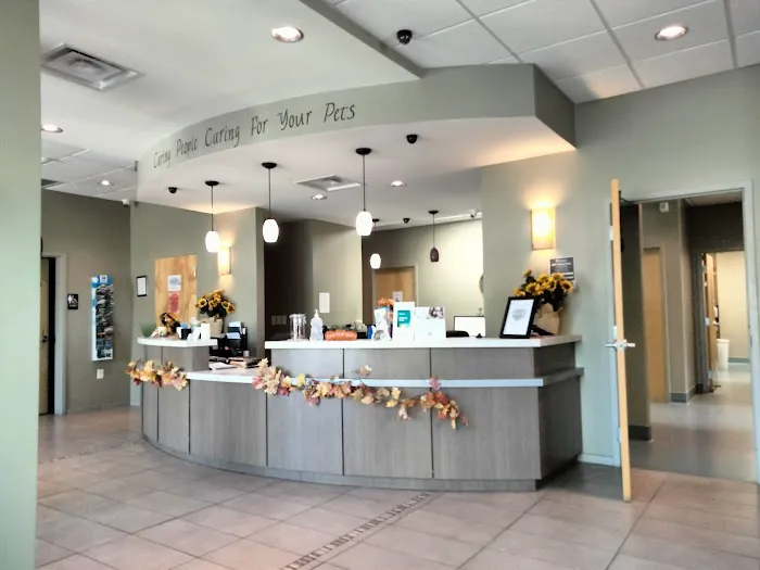 Priest Lake Veterinary Hospital - Nashville Veterinarian 12