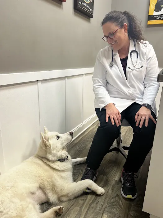 Veterinary Behavior Solutions 12