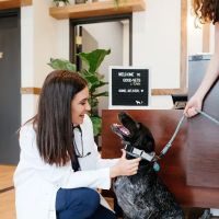 GoodVets Germantown ico