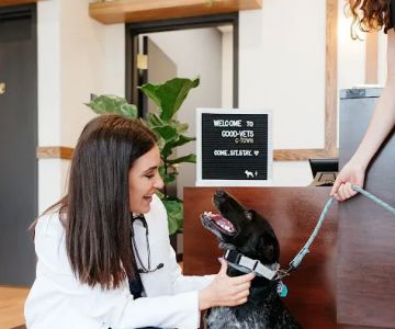 GoodVets Germantown