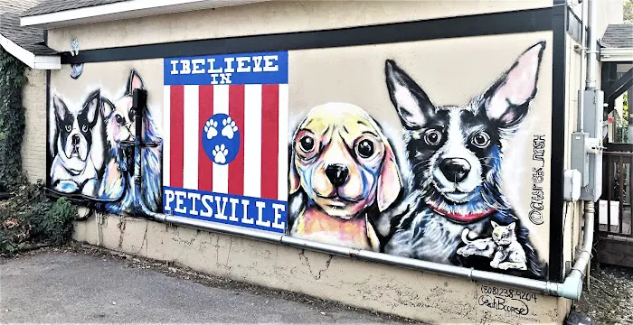 City Pets Animal Care 12