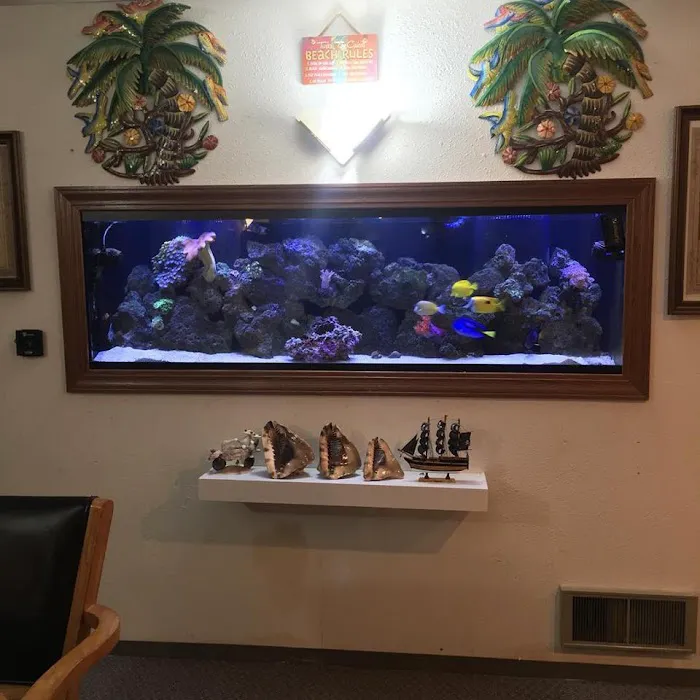 Aquatic Realmz Aquarium Maintenance & Design 6