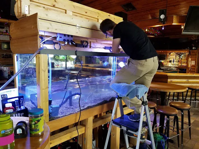 Aquatic Realmz Aquarium Maintenance & Design 2