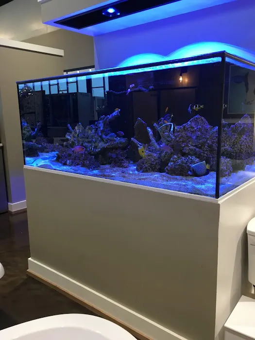 Aquatic Realmz Aquarium Maintenance & Design 4