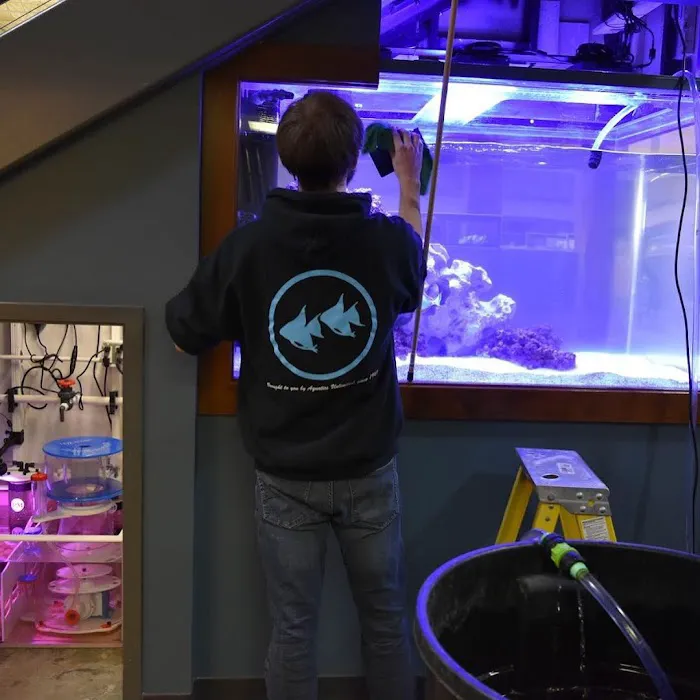 Aquatic Realmz Aquarium Maintenance & Design 3
