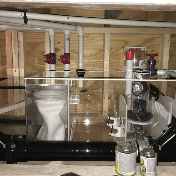 Aquatic Realmz Aquarium Maintenance & Design 5