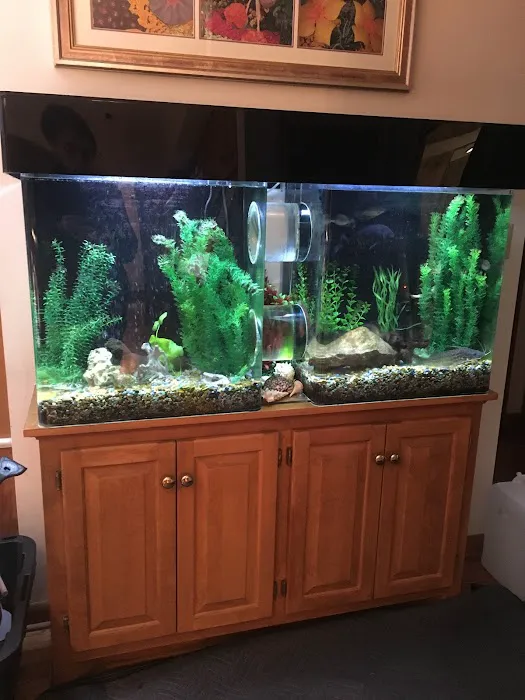 Aquatic Realmz Aquarium Maintenance & Design 7