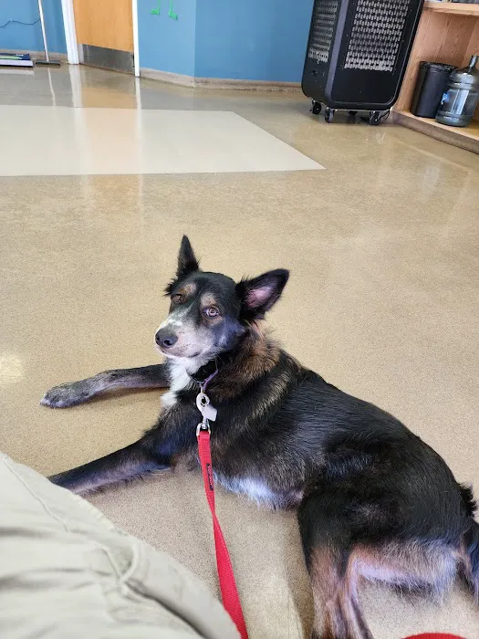 Zarzamora Veterinary Clinic - James Gates DVM 1