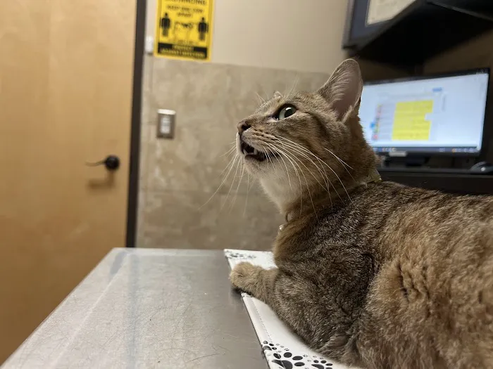 Zarzamora Veterinary Clinic - James Gates DVM 2