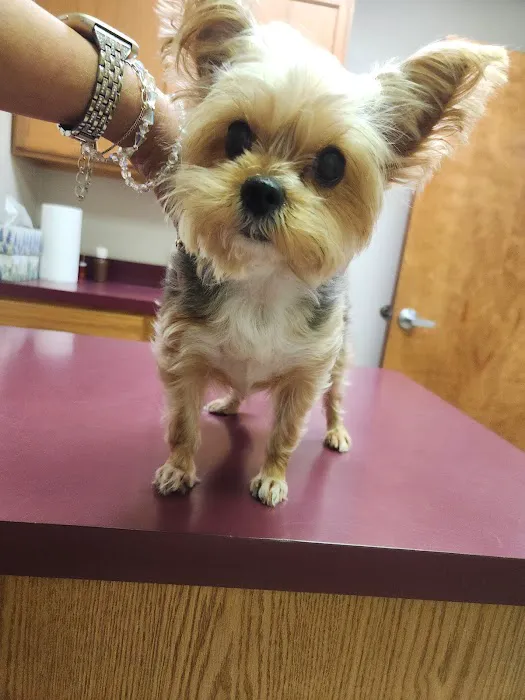 Zarzamora Veterinary Clinic - James Gates DVM 9