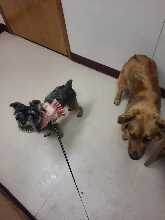 Zarzamora Veterinary Clinic - James Gates DVM 5
