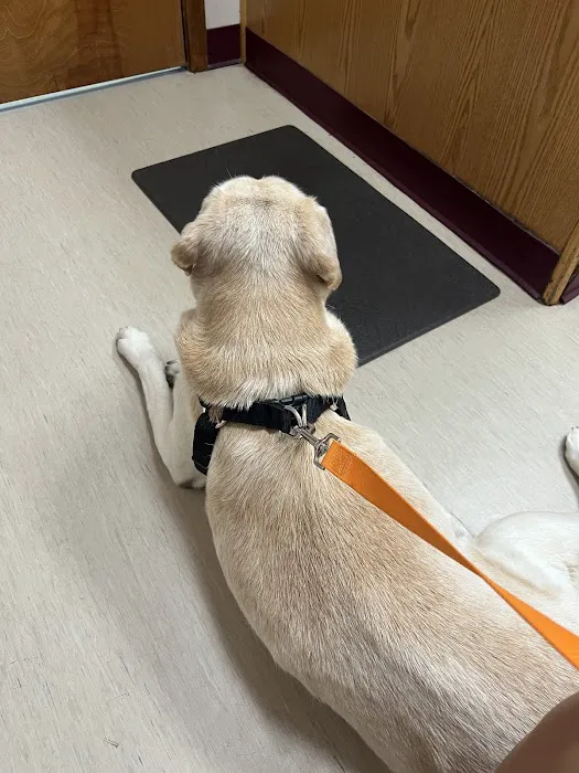 Zarzamora Veterinary Clinic - James Gates DVM 8