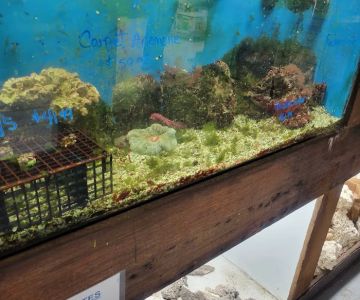 Pet World Warehouse Outlet