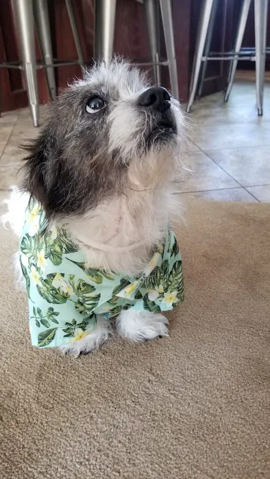 Pleasanton Road Animal Hospital 12