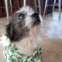 Pleasanton Road Animal Hospital ico