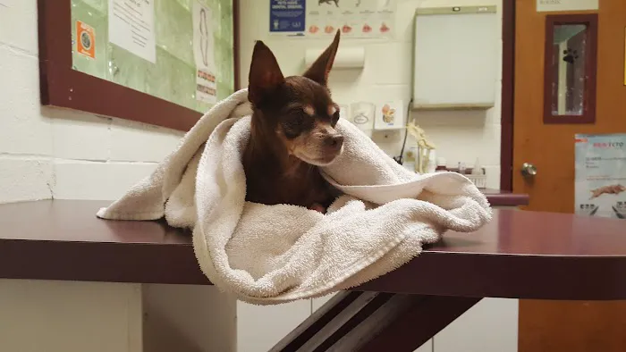 Pleasanton Road Animal Hospital 12