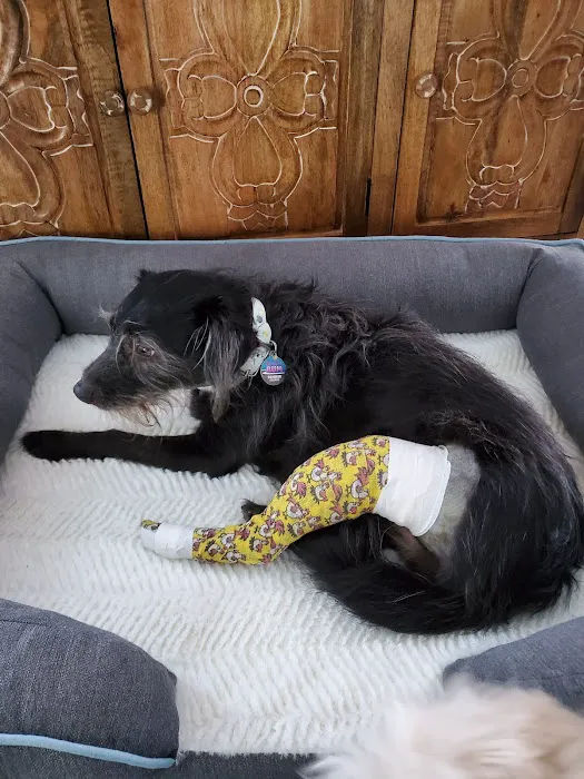Pleasanton Road Animal Hospital 12