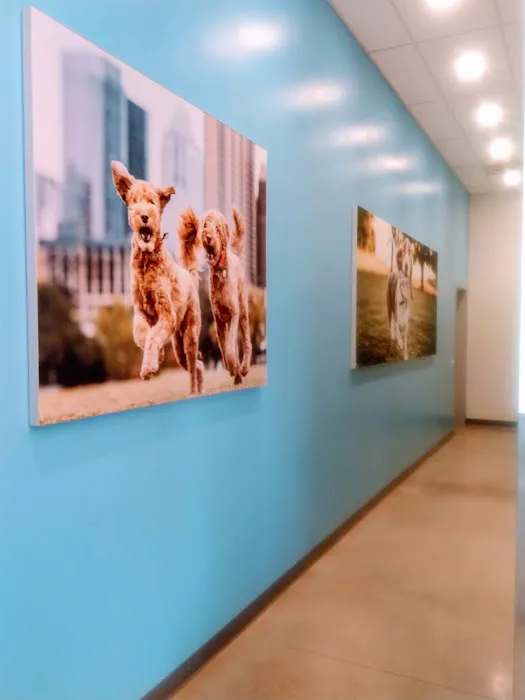 Vetco Total Care Animal Hospital 12