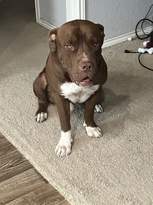 Vetco Total Care Animal Hospital 12