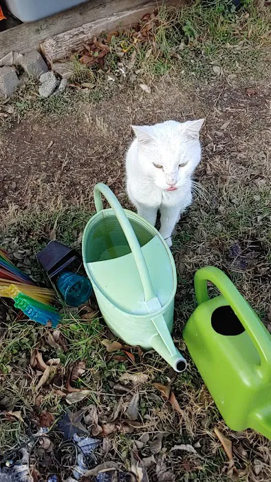 Vetco Total Care Animal Hospital 12