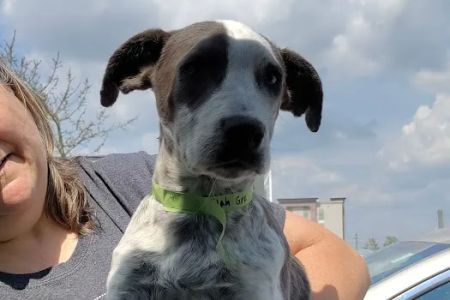 SNAP Spay-Neuter & Animal Wellness Clinic - San Antonio at Brooks