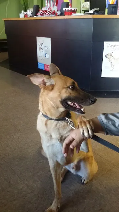 4 Paws Animal Hospital 12