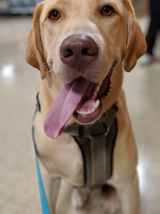 Banfield Pet Hospital 12