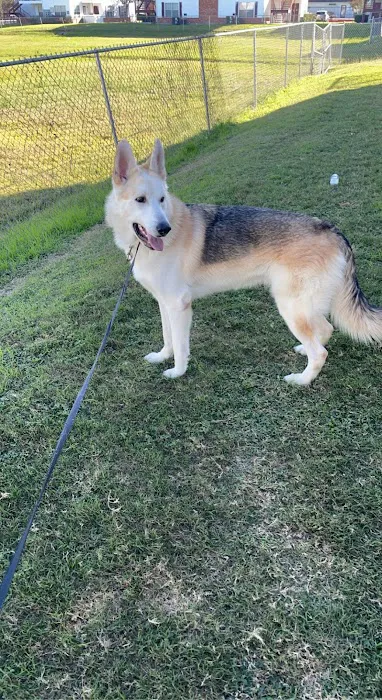 Banfield Pet Hospital 12