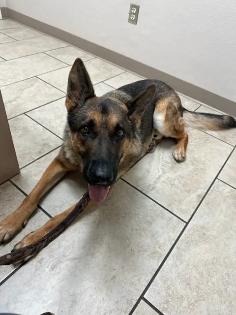 St. Francis Veterinary Hospital 12