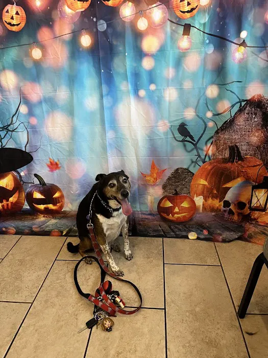 St. Francis Veterinary Hospital 12