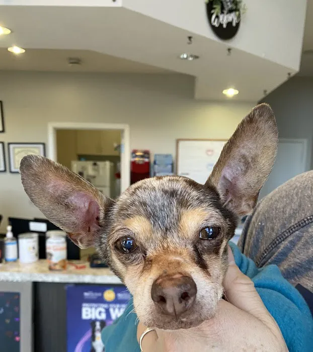 St. Francis Veterinary Hospital 12