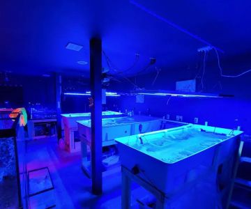 Midwest Aquaculture